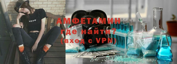 сатива Аркадак