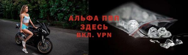 сатива Аркадак