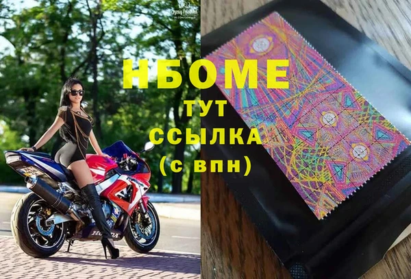 сатива Аркадак