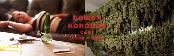 сатива Аркадак