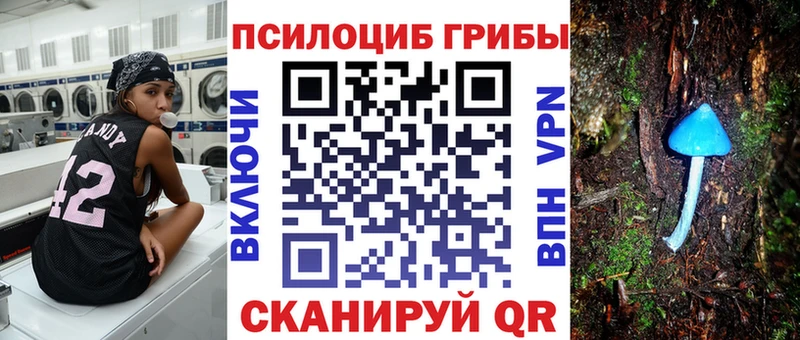 купить закладку  Сольвычегодск  Псилоцибиновые грибы MAGIC MUSHROOMS 